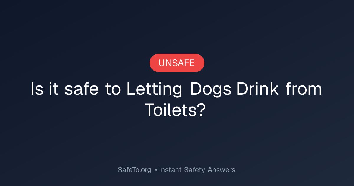 Is it Safe To Letting Dogs Drink from Toilets?